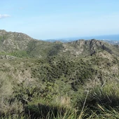 parcela Marbella parcela Marbella