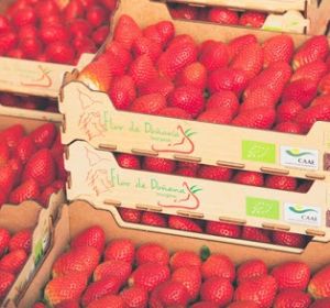 fresas fresas
