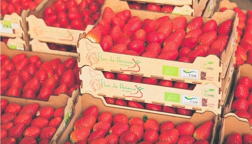 La Brújula de Andalucía: Andalucía Capital 23/06/2020 La Brújula de Andalucía: Andalucía Capital 23/06/2020