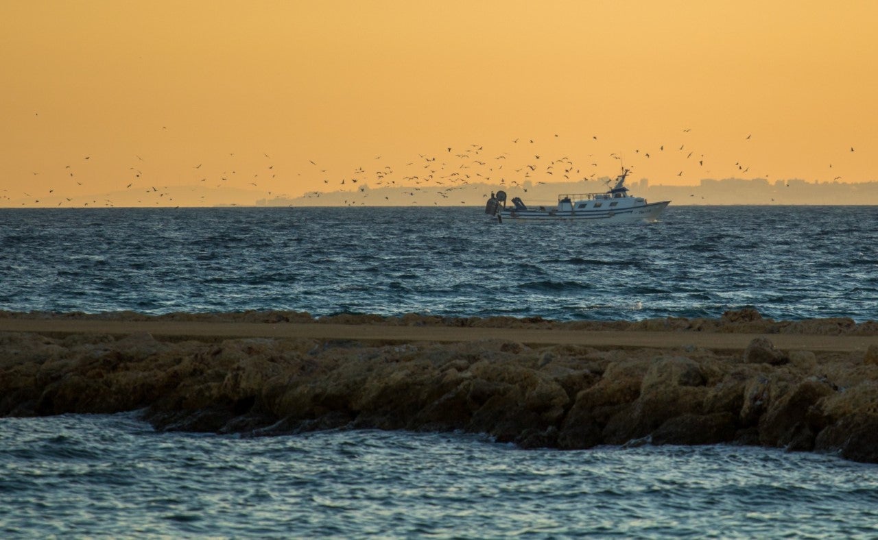 Sólo el 10% de la flota pesquera de Santa Pola faena este jueves a la espera de que se hagan efectivas las medidas anunciadas por el Gobierno Sólo el 10% de la flota pesquera de Santa Pola faena este jueves a la espera de que se hagan efectivas las medidas anunciadas por el Gobierno