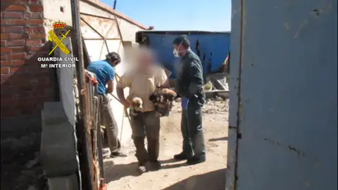 La Guardia Civil investiga en Villamuriel a una persona por un supuesto delito de maltrato animal Maltrato animal