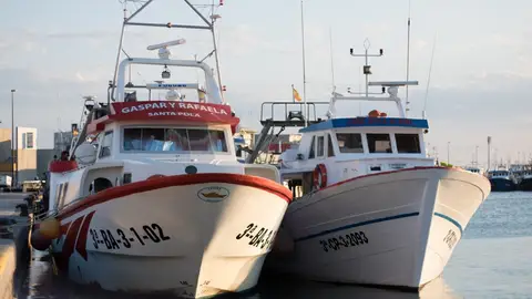 Pesqueros en el puerto de Santa Pola. Pesqueros en el puerto de Santa Pola.