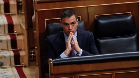 Pedro S&aacute;nchez en el Congreso