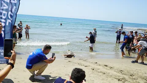 Suelta de Colomera Acción de la Fundación Azul Marino