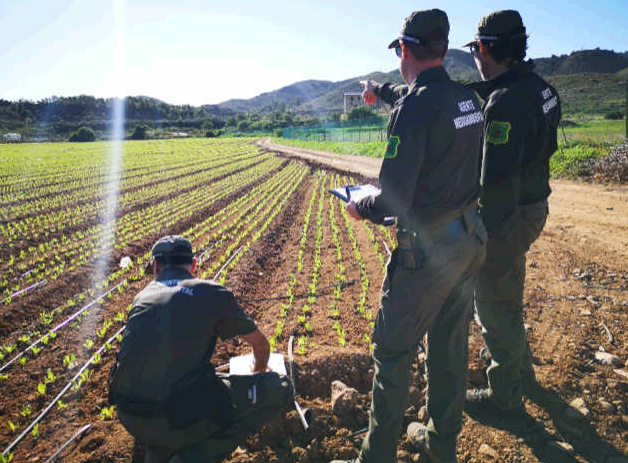 Aún no se ha desmontado ni un solo metro de regadío ilegal en el entorno del Mar Menor Aún no se ha desmontado ni un solo metro de regadío ilegal en el entorno del Mar Menor