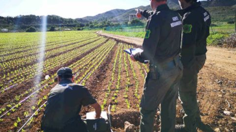 Regadío ilegal Campo Cartagena