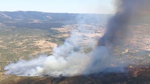 Incendio Cabezas Rubias