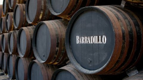 Bodegas de Barbadillo, en Sanl&uacute;car