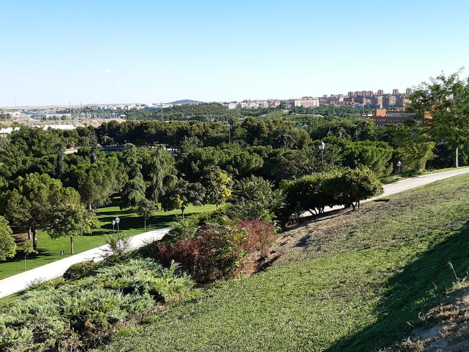 Ornitología en el Parque del Manzanares Ornitología en el Parque del Manzanares
