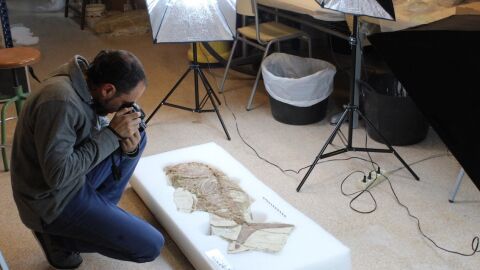 F&oacute;sil del pez descubierto por el MUPE.