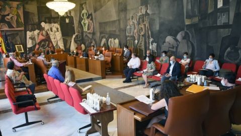 Pleno de la Diputaci&oacute;n de Ciudad Real celebrado este viernes