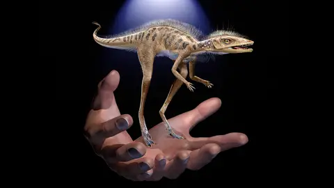 Descubierto un minusculo pariente de los dinosaurios Descubierto un minusculo pariente de los dinosaurios
