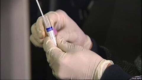 Los corticoides inhalados podr&iacute;an prevenir el coronavirus 