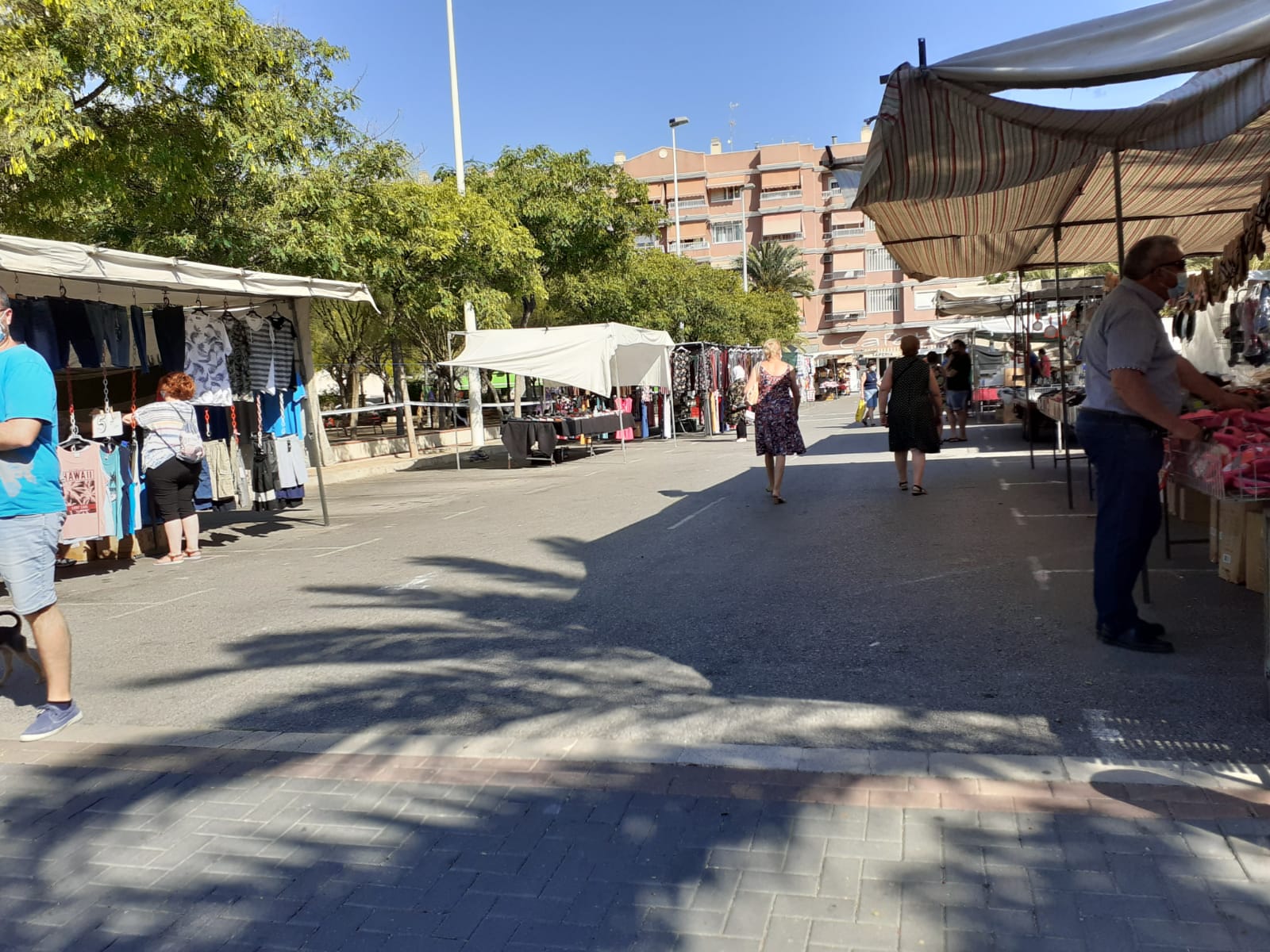 Ciudadanos Elche propone la creación de una mesa para potenciar los mercadillos ambulantes Ciudadanos Elche propone la creación de una mesa para potenciar los mercadillos ambulantes
