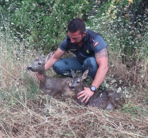 Un agente de la Guardia Civil con los corzos Un agente de la Guardia Civil con los corzos