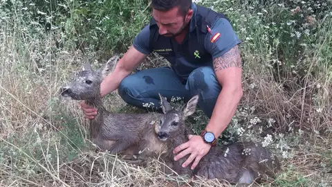Un agente de la Guardia Civil con los corzos Un agente de la Guardia Civil con los corzos
