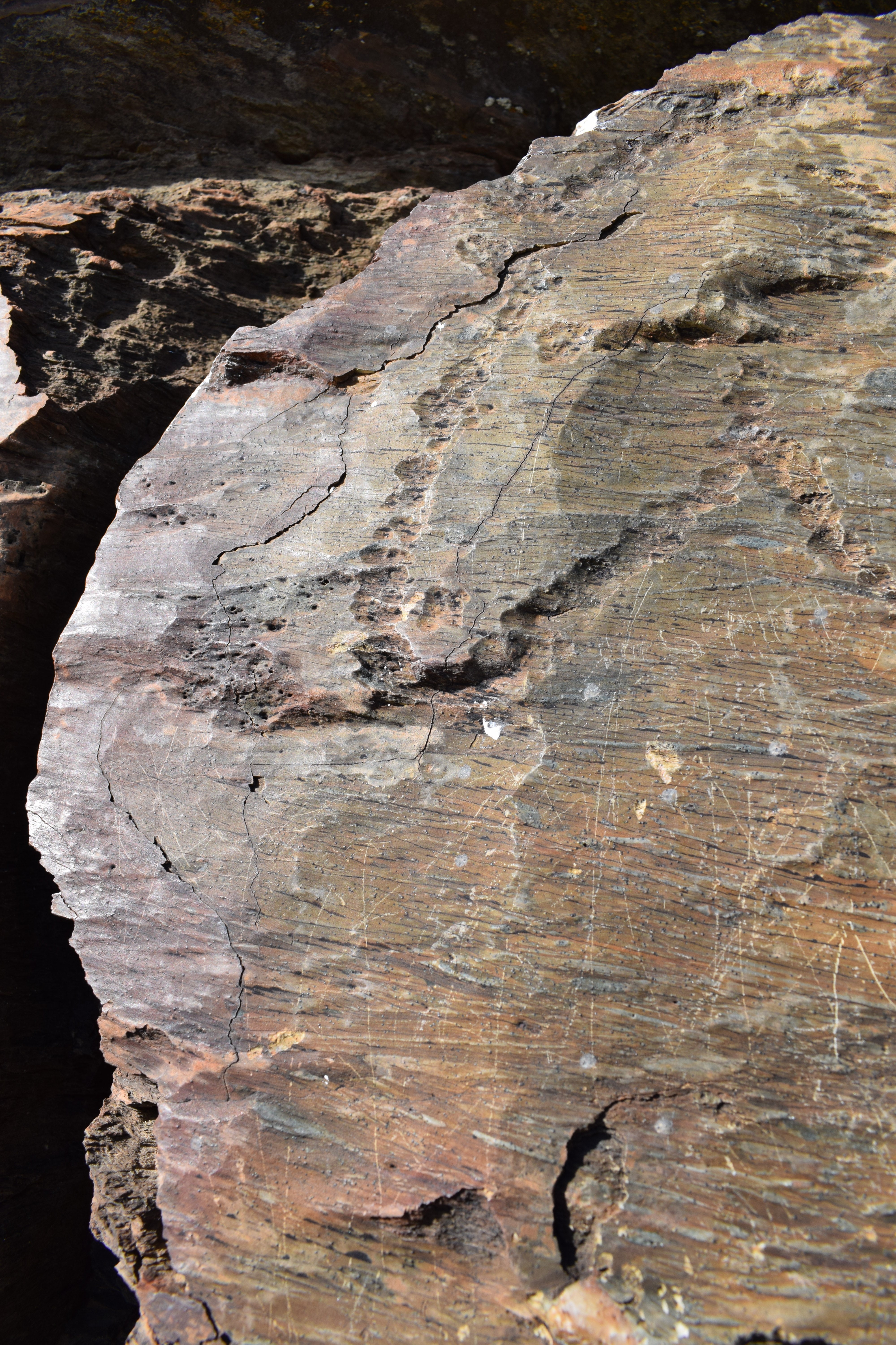 Nuevas técnicas en el yacimiento arqueológico de Domingo García Nuevas técnicas en el yacimiento arqueológico de Domingo García