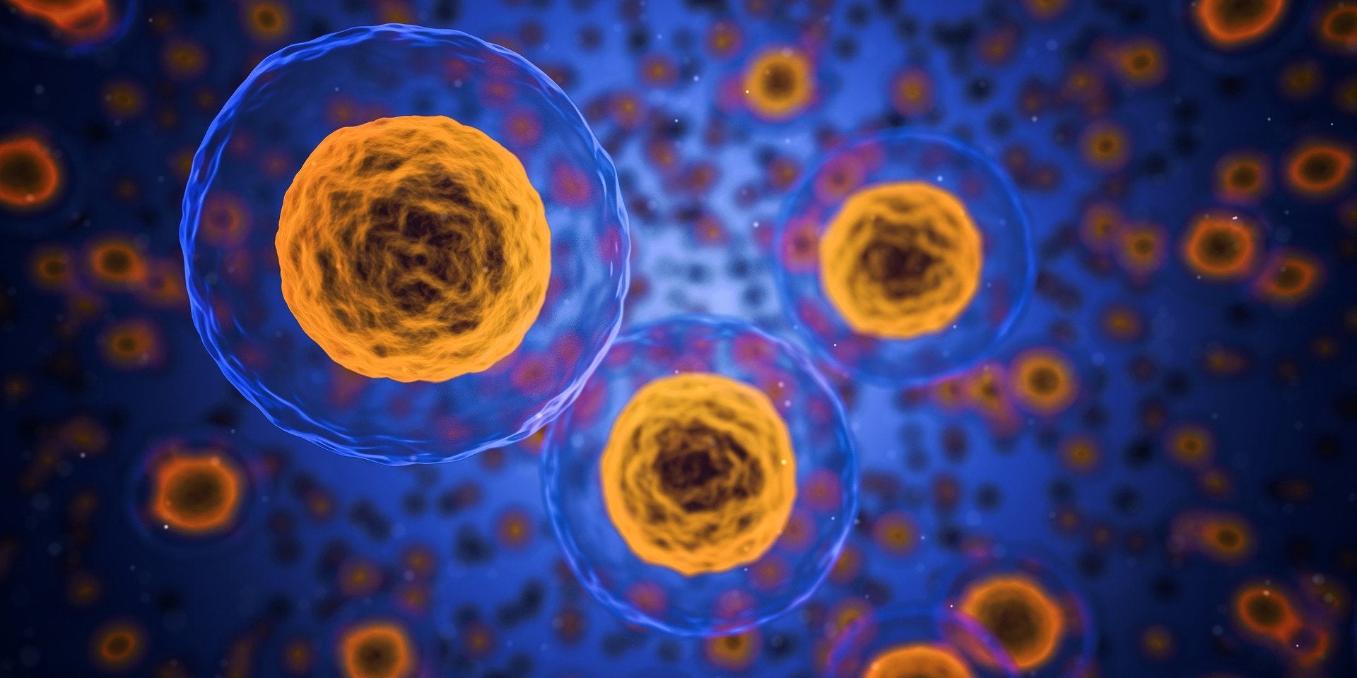 La Brújula de la ciencia: ¿Cómo es una célula por dentro? episode artwork