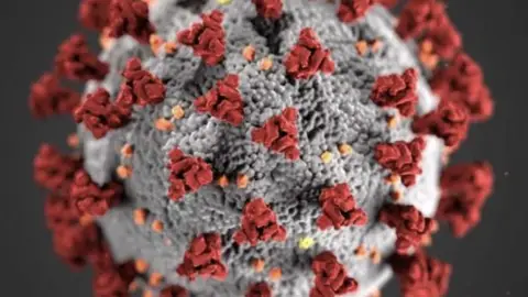Virus COVID 19