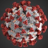 Virus