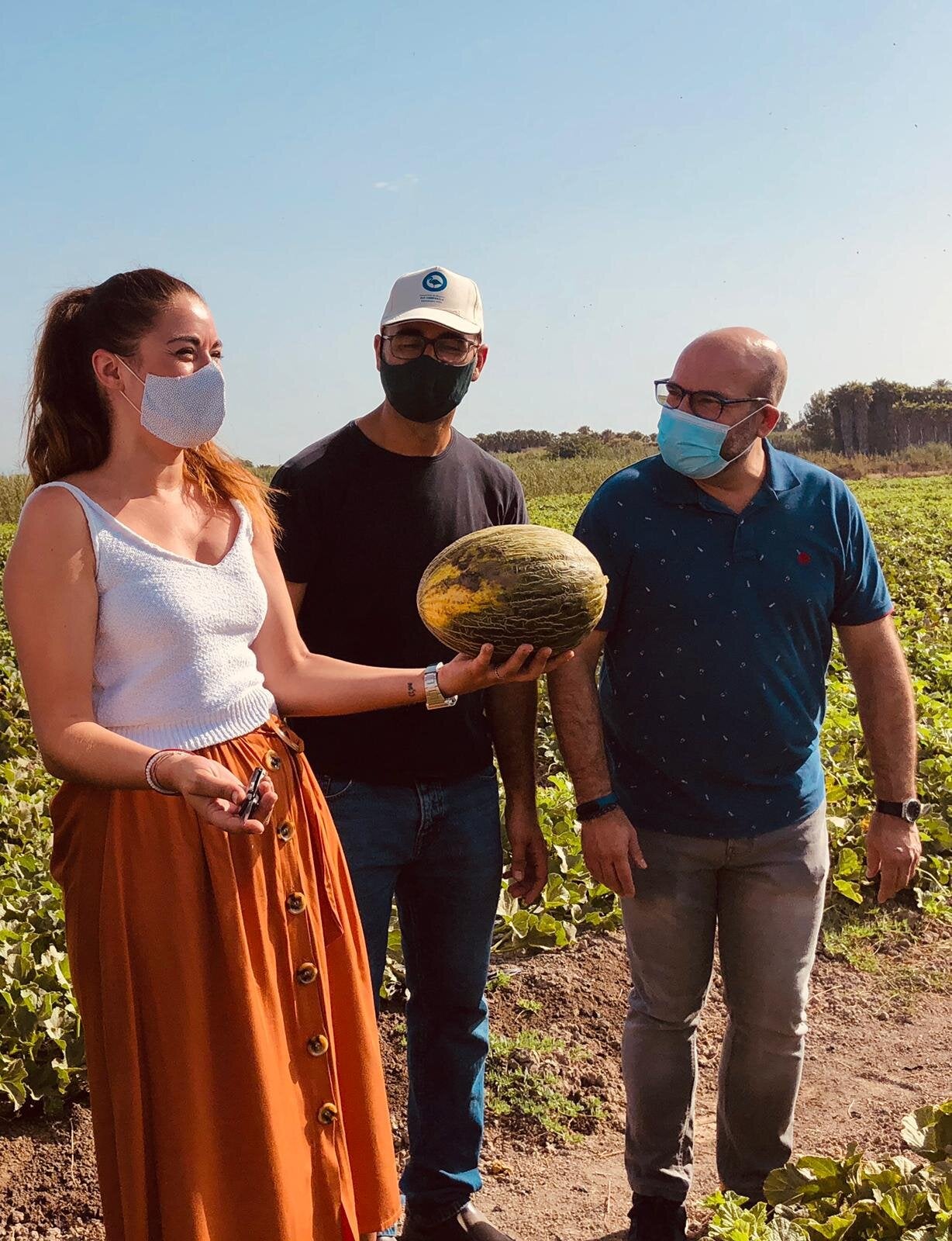 El melón de Carrizales continúa su expansión en el mercado de proximidad con una producción que supera el medio millón de kilos El melón de Carrizales continúa su expansión en el mercado de proximidad con una producción que supera el medio millón de kilos