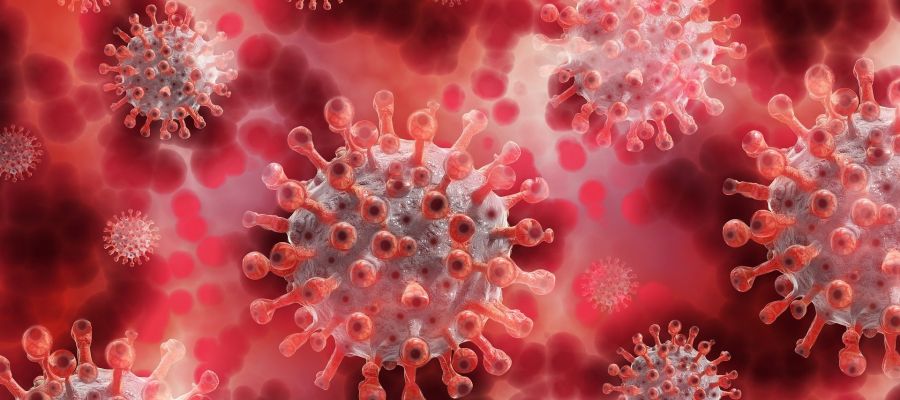 Siguen preocupando los brotes de coronavirus en Aragón Siguen preocupando los brotes de coronavirus en Aragón