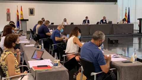 Concejales con mascarillas en el pleno municipal de Elche.
