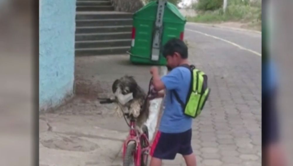 Se vuelven virales las imágenes de un niño poniéndole la mascarilla a su perro en Ecuador
