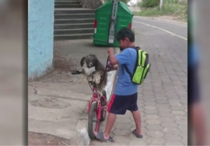 El tierno vídeo de un niño poniéndole una mascarilla a su perro se vuelve viral El tierno vídeo de un niño poniéndole una mascarilla a su perro se vuelve viral