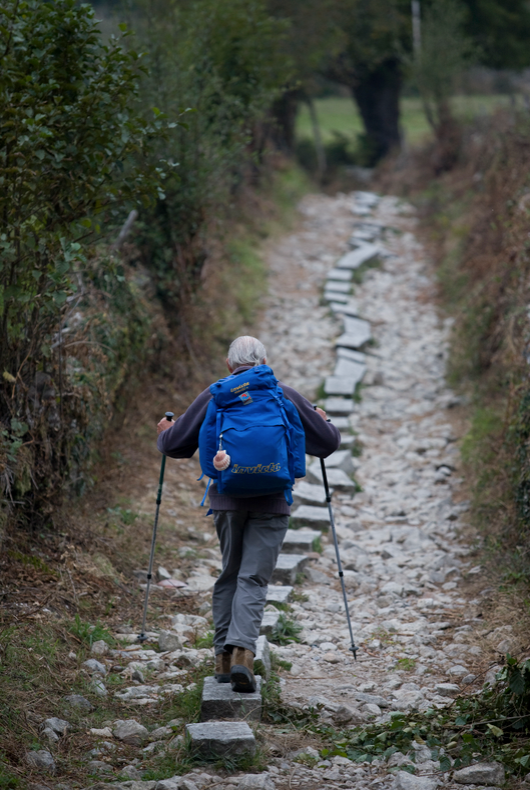 Un brote en el Camino deja ocho peregrinos confinados en Palas de Rei Un brote en el Camino deja ocho peregrinos confinados en Palas de Rei