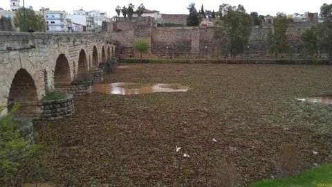 R&iacute;o Guadiana a su paso por Badajoz