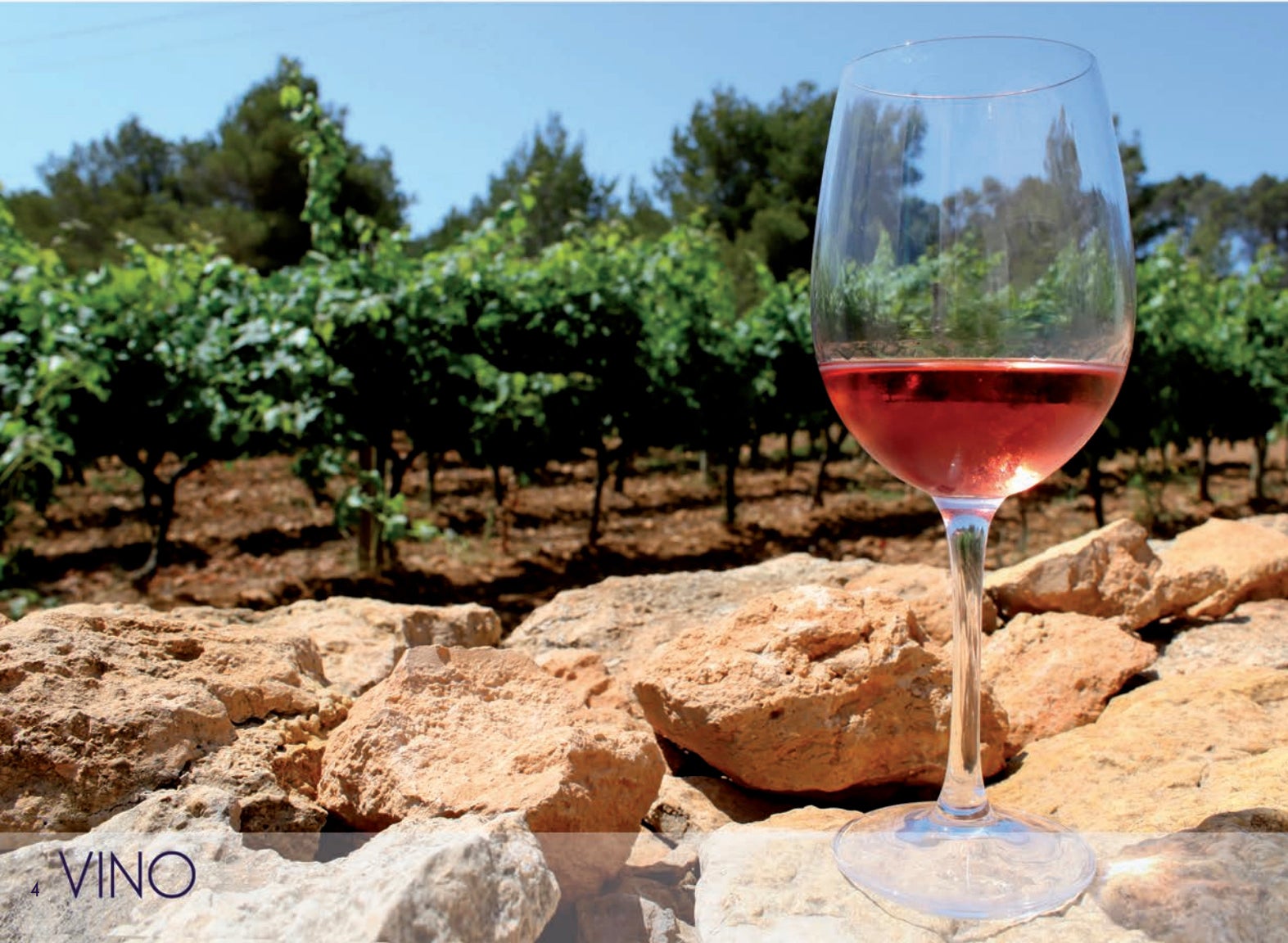 Ruth Troyano i els secrets dels vins Ruth Troyano i els secrets dels vins