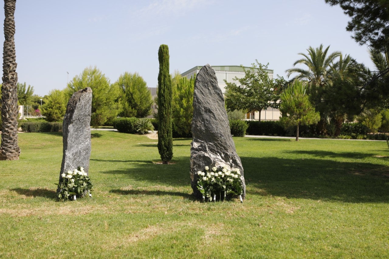 El rector de la UMH de Elche pone en valor la capacidad de adaptación de la universidad frente a la pandemia El rector de la UMH de Elche pone en valor la capacidad de adaptación de la universidad frente a la pandemia