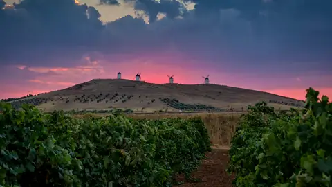 Rutas del Vino de la Mancha Molinos sobre viñedos