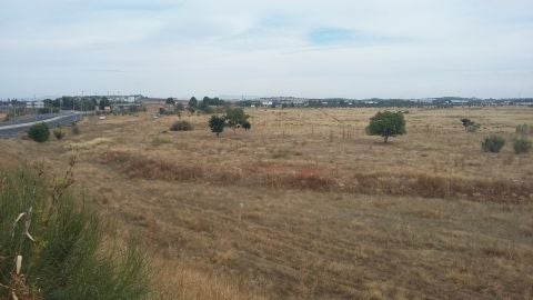 Terrenos del Polígono Industrial Sepes de Ciudad Real