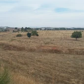 Terrenos del Polígono Industrial Sepes de Ciudad Real Terrenos del Polígono Industrial Sepes de Ciudad Real