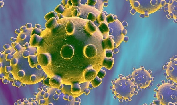 Sanidad contabiliza 44 nuevos casos de coronavirus en la provincia de Alicante Sanidad contabiliza 44 nuevos casos de coronavirus en la provincia de Alicante