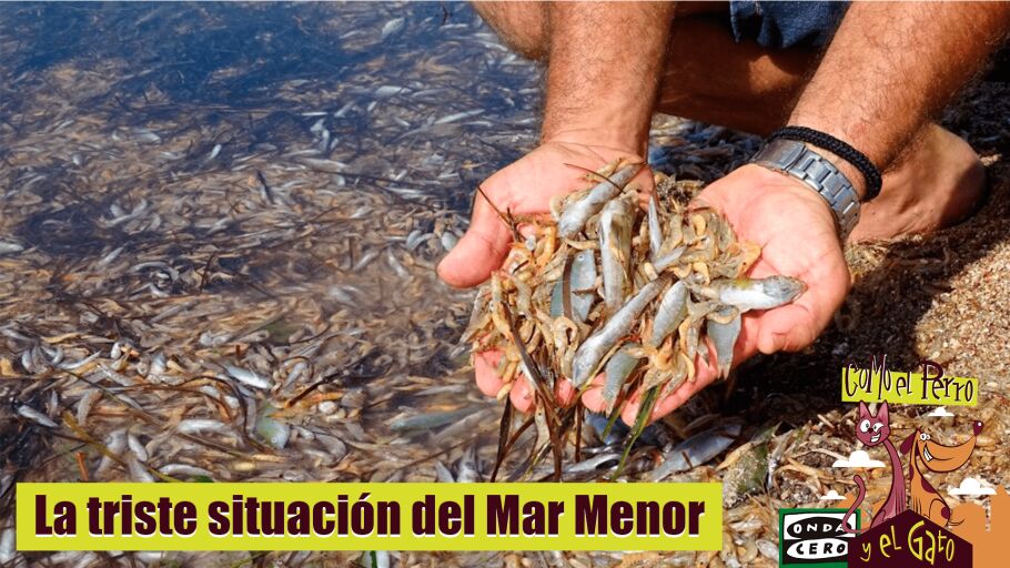 La contaminaci&oacute;n en El Mar Menor