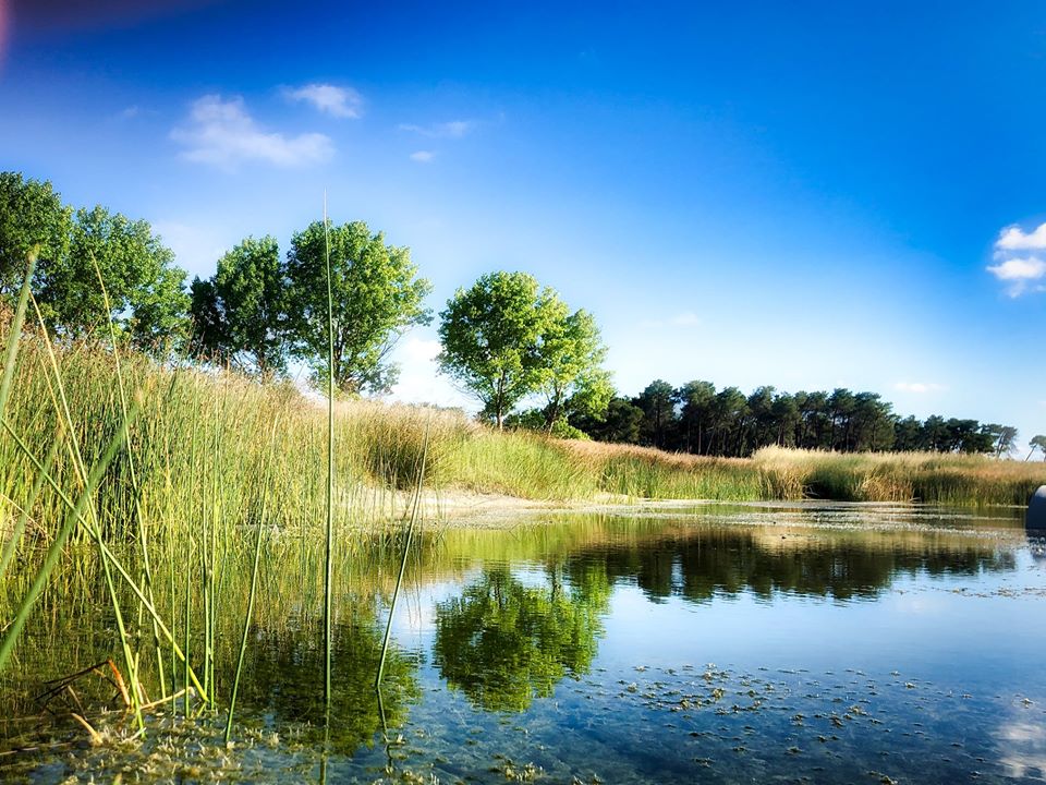 Ecologistas en Acción rechaza la construcción del embalse de Lastras de Cuéllar Ecologistas en Acción rechaza la construcción del embalse de Lastras de Cuéllar