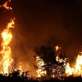 Imagen del incendio en Ourense Imagen del incendio en Ourense