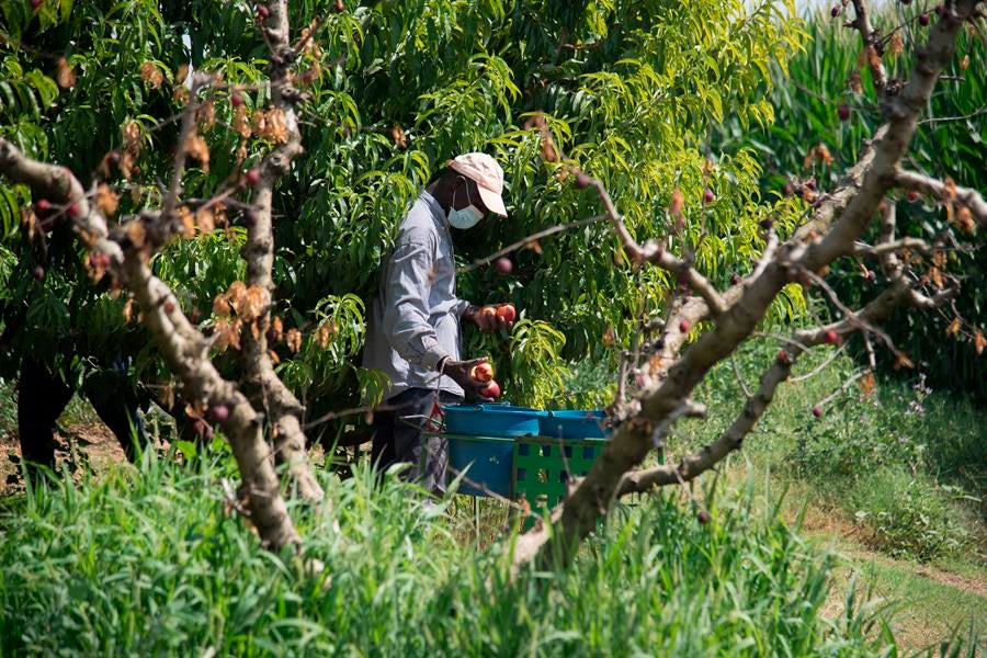 Firmado el convenio entre el Ayuntamiento y el Obispado para que el Seminario aloje a temporeros en verano Firmado el convenio entre el Ayuntamiento y el Obispado para que el Seminario aloje a temporeros en verano
