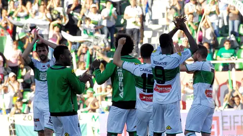 Los jugadores del Elche CF celebran una victoria junto a su afición Los jugadores del Elche CF celebran una victoria junto a su afición