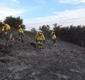 Bomberos trabajando en el incendio forestal Bomberos trabajando en el incendio forestal