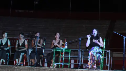 Gala Flamenca de Alcázar Artistas en el escenario