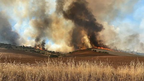 Incendio en Valdepi&eacute;lagos