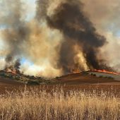 Incendio en Valdepiélagos