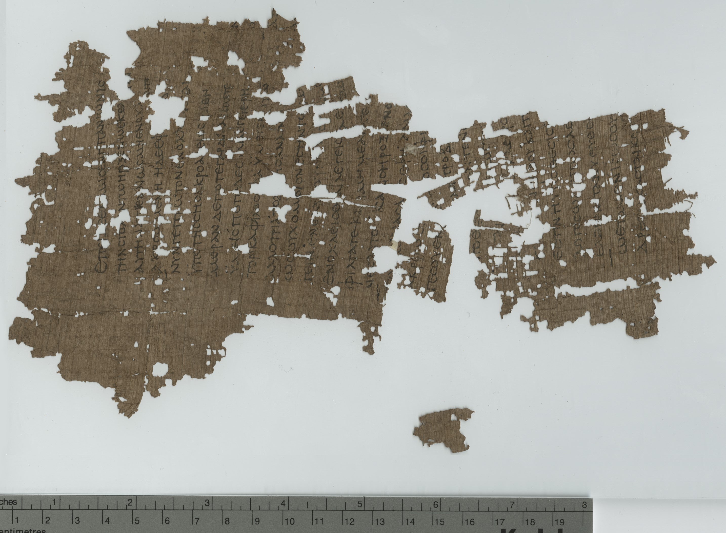 Una investigadora de la UA ha identificado las primeras novelas de la Antigua Grecia Una investigadora de la UA ha identificado las primeras novelas de la Antigua Grecia