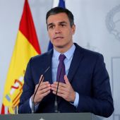El presidente del Gobierno, Pedro Sánchez, este mediodía en el Palacio de la Moncloa.