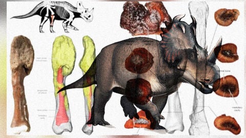 Descubren un c&aacute;ncer de hueso en un dinosaurio que vivi&oacute; hace 77 millones de a&ntilde;os