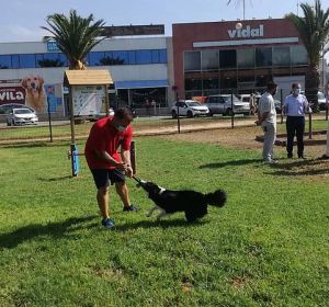 Parque canino en Chiclana Parque canino en Chiclana